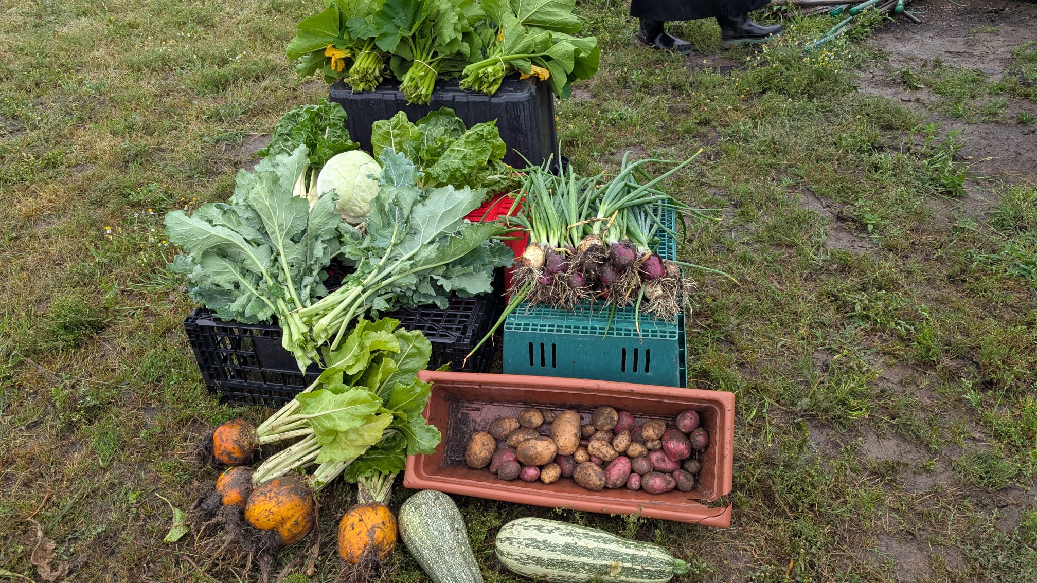 Farm Hrvest